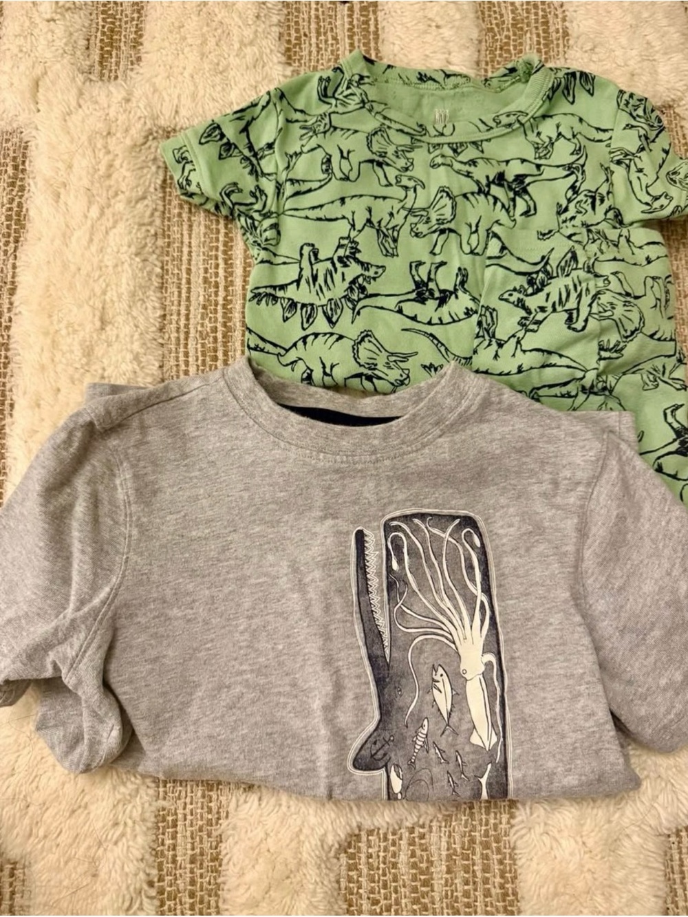 Gap Pajama Set + Tshirt boys size 5